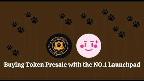 How to Buy GDCOIN During the Presale on PinkSale | Step-by-Step Guide