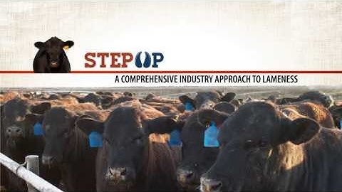 How to Use Locomotion Scoring for Early Detection of Lameness in Cattle