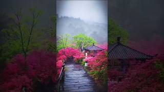 Na jane kya huva 🥀❤️‍🔥#voiceofsudha #latamangeshkar  #oldisgoldsongs #nature #shorts #ytshorts