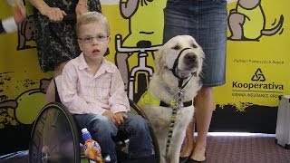 Předání Asistenčních Psů Klientům