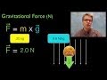 Gravitational Forces and Weight Measurement in Physics