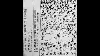 Karamelisierter Mandelknusper, The Amnesia – Split Demotape 1994 (B.S.o.D.)