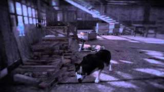 Dead To Rights: Retributions Walkthrough Part 6 HD