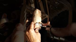 From A Wood Block To A Wise Owl