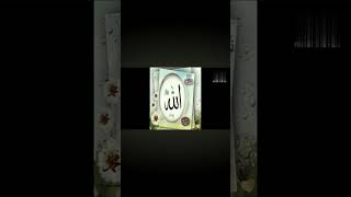 best profile pictures for whatsapp facebook instagram #muslimah #muslim