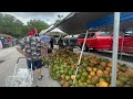 Shopping at Asia Pinellas Farmers/Flea markets in Florida. 6-30-2024