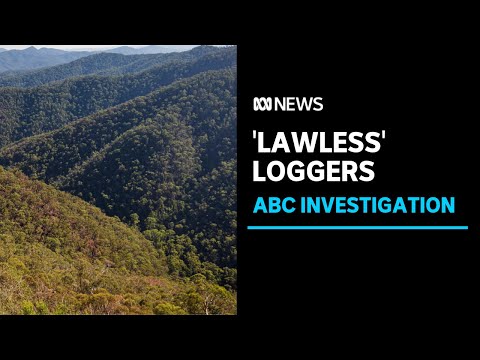 New data suggests illegal logging by Vic Government's logging agency | ABC News