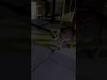 More Cat Video Shorts PART 7 🐈