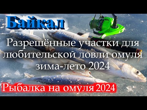 Рыбалка на омуля, разрешённые места и сроки любительского лова.