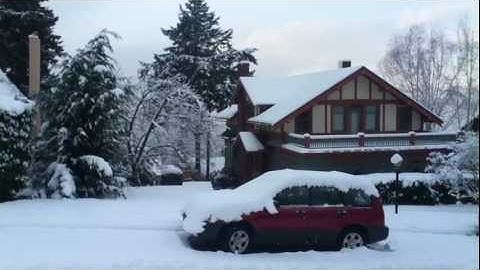 2012 Snow Storm in Bellingham, WA