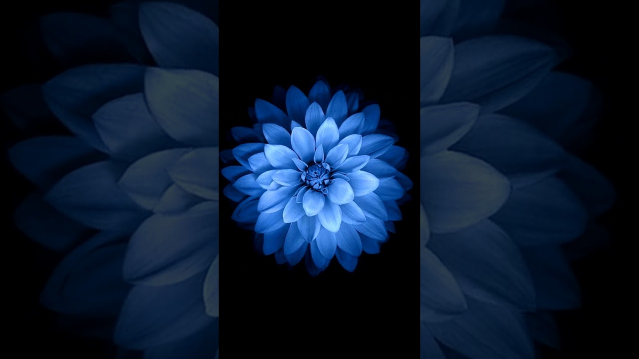 Linda Lewis | Lark | Full Album | 6/13 HD MO - YouTube