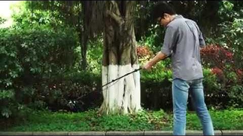 Zhiyun Z1 Evolution action cameras 3-Axis Handheld Steady Gimbal