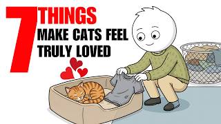 7 Things Men Do That Make Cats Feel Truly Loved.