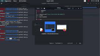 advent of cyber day 9 | requests | python requests Net Worth
