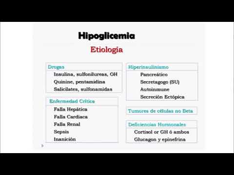 endocrinologia 2v