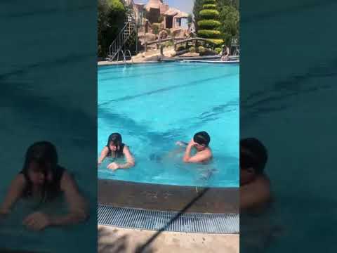 تي م ابو فاعور