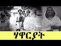 Emn    eritrean media network