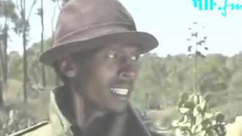 Eritrean comedy ( manta ) by Tafla and Suzinino