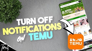 How to turn off Notifications on Temu