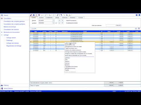 ?Les Tuto'Z - 08 - Réaliser du lettrage manuel dans CEGID Comptabilité