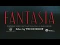 Opening To Fantasia 1991 French Canadian VHS 