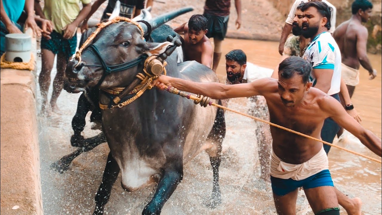 3-6-24ഇന്നത്തെ കരേകാട് ഇടപ്പൂട്ടിൽ നിന്ന്