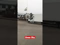 هذا مركز ايواء كبار السن في السويد هذا مركز ايواء كبار السن في السويد