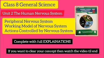 8th Class General Science - Ch 1 - Working Model of Nervous System - General Science 8th Class