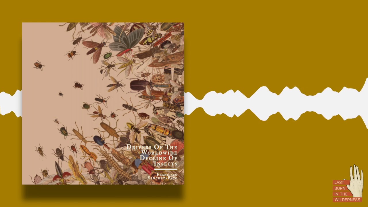 Francisco Sánchez-Bayo: Drivers Of The Worldwide Decline Of Insects ...