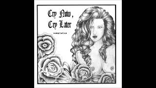 v/a: Cry Now, Cry Later Vol. 1 (Full 2 x 7&quot; EP)