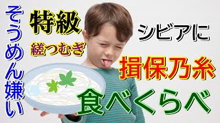 そうめん嫌いが揖保乃糸の食べくらべをしてみたらそうめんを好きになるのか検証