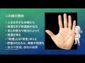 生命線から財運線が出ている?どんな線か見てみましょう