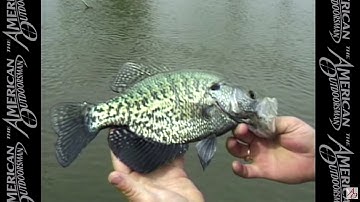 Springtime Crappie Tips 2