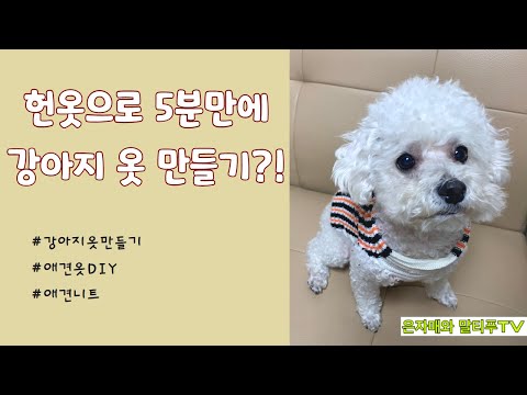 [애견옷DIY]초보자도 가능한 헌옷으로 5분만에 강아지 옷만들기 (꿀팁) Making puppy clothes