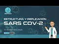 1. ESTRUCTURA Y REPLICACION DEL SARS COV-2 / CURSO COVID-19 PARA ESTUDIANTES