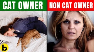 10 Scientific Benefits of Owning a Cat You Need To Know
