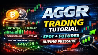 Celebrity BIT NODE TRADING / WEB 3 DATA / Wealth