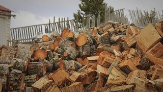 Producción de Madera (Llano Grande) Cap 73
