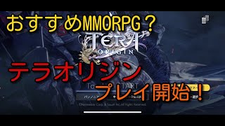 【テラオリジン】おすすめMMO！？テラオリジンとりあえず触ってみた【パンノニア鯖】