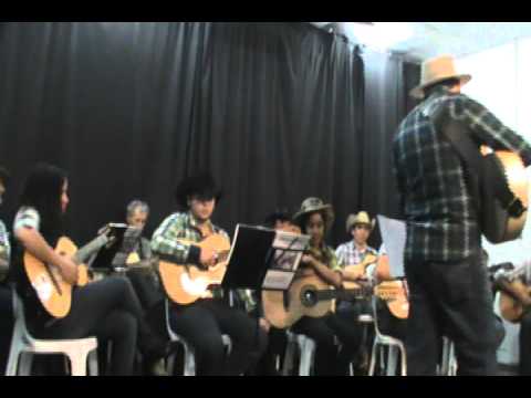 Orquestra Viola em Noite de Lua - Candieiro da Fazenda