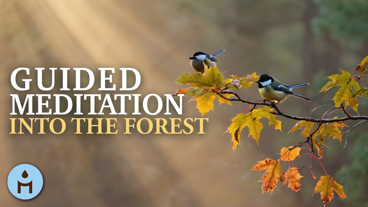 Guided Forest Meditation with Bird Sounds: 🌳 Deep Nature Immersion for ...