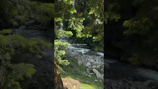 Aaja hisse me tu mere - rang sharbaton ka song - #fyp #aestheic #lyrics #ytshorts #thisisforyou