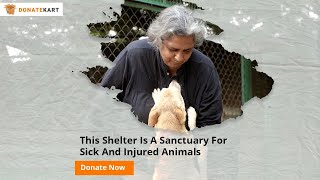 A Safe Haven For Hundreds Of Injured Animals