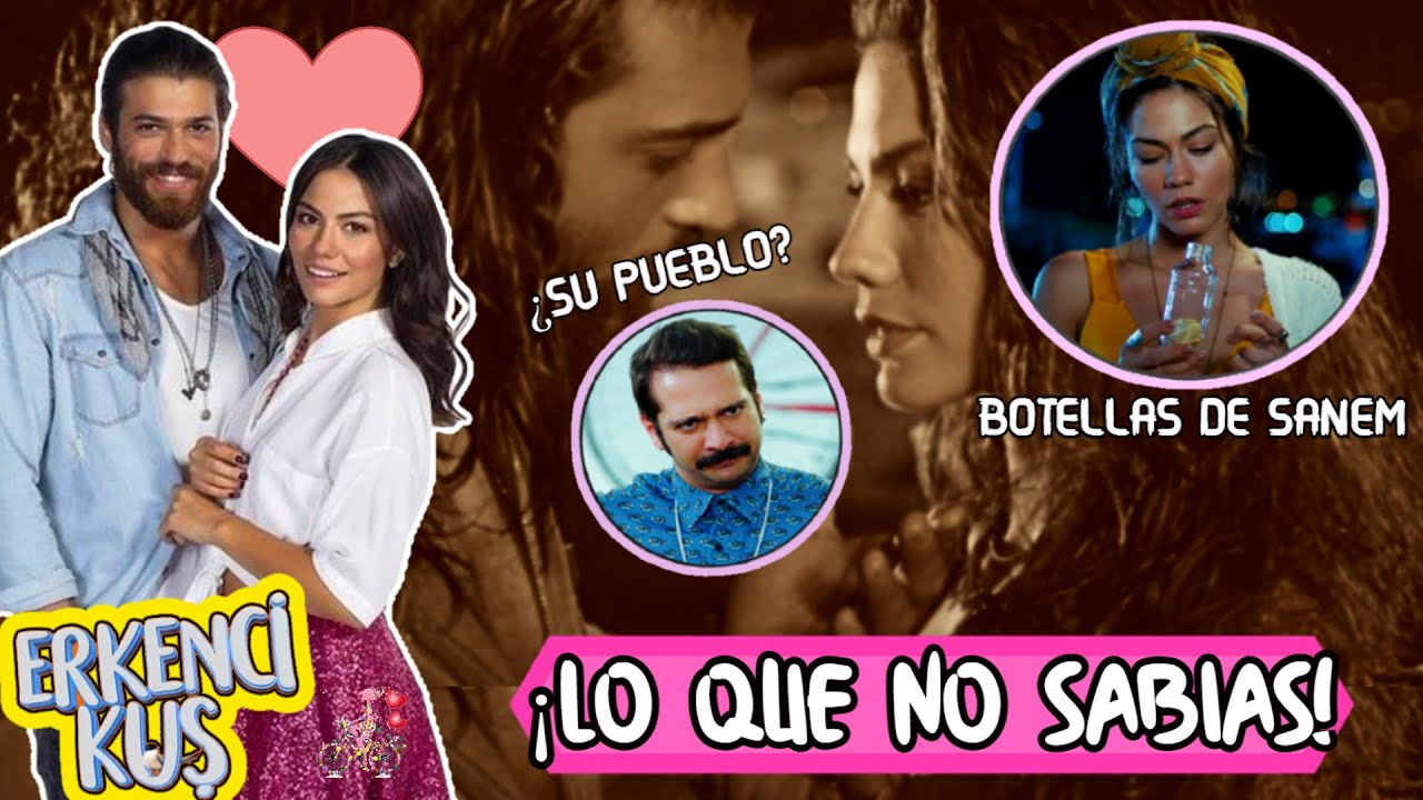 13 Datos curiosos de PAJARO SOÑADOR - (Erkenci Kuş /Albatros)🐤