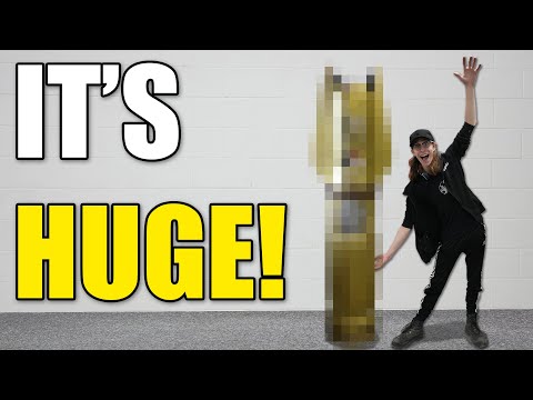 BIG things in the works! 🔥📏 (Members' Update #36)