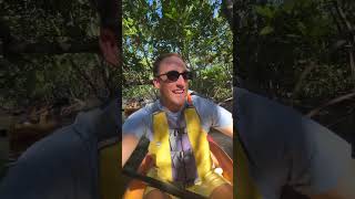 Wild About Florida - Fort Myers Beach - Mangrove Kayaking 60 9x16
