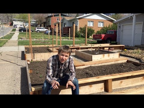 Foodscaping our frontyard: replacing grass with raised garden beds, fruit trees and wood chips