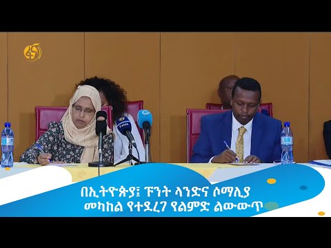 ቪዲዮ: ፑንት ኑዌቮ መቼ ነው የተሰራው?