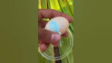 മുട്ട+Colgate= transparent egg|#shorts #m4tech #youtubeshorts #sufailsvibes#experiment#viral