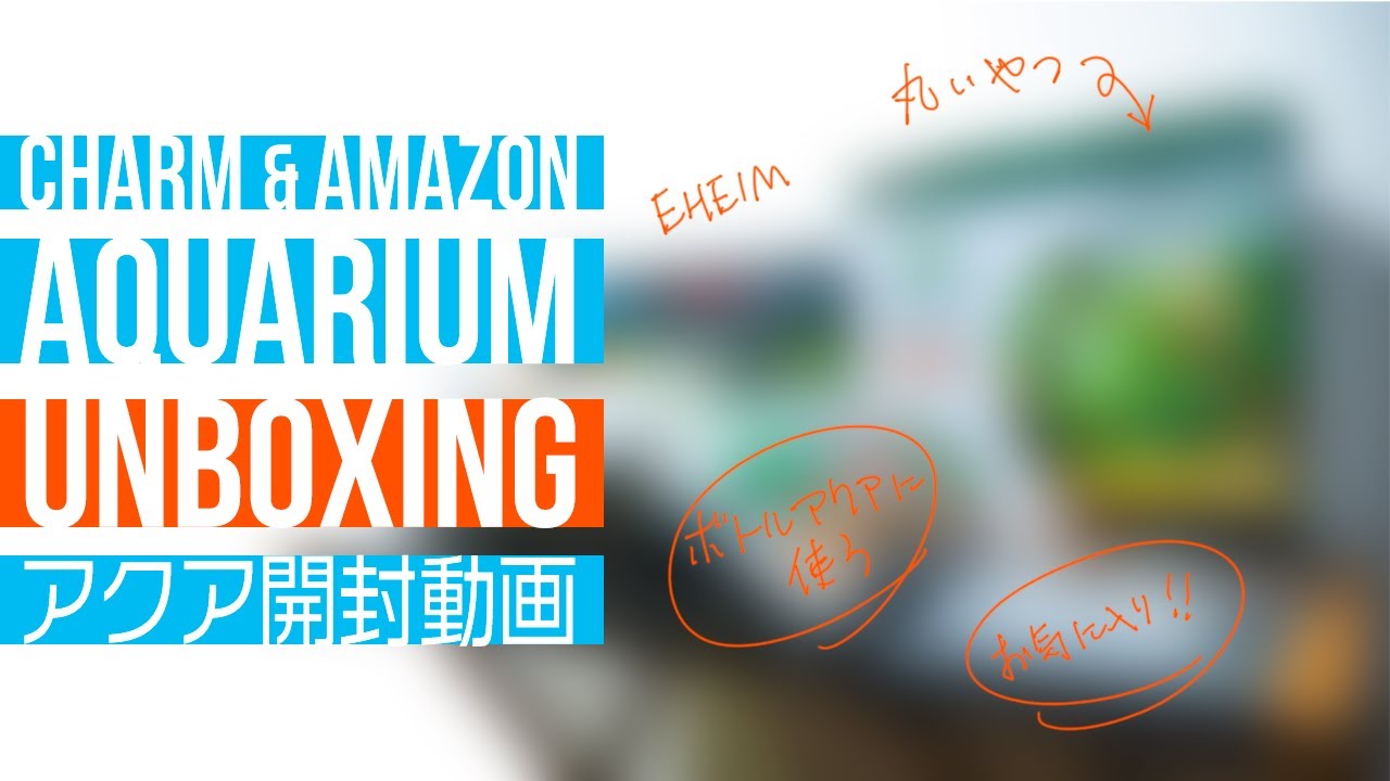What did you buy? Unboxing video of charms and aquarium supplies